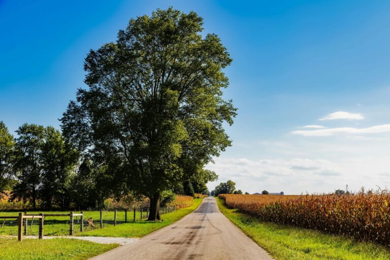 Established in 2005, the Indiana Office of Community and Rural Affairs works with local, state and national partners to provide resources and technical assistance to Indiana’s small towns. (Photo/Pexels.com)