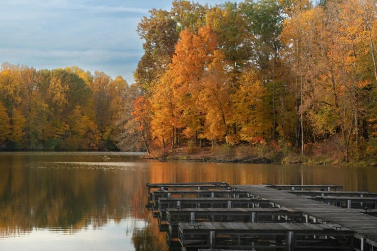 Before an Indiana legislative interim study committee, environmentalists testified about the physical and mental health benefits parks provide. (Photo/Pexels.com)
