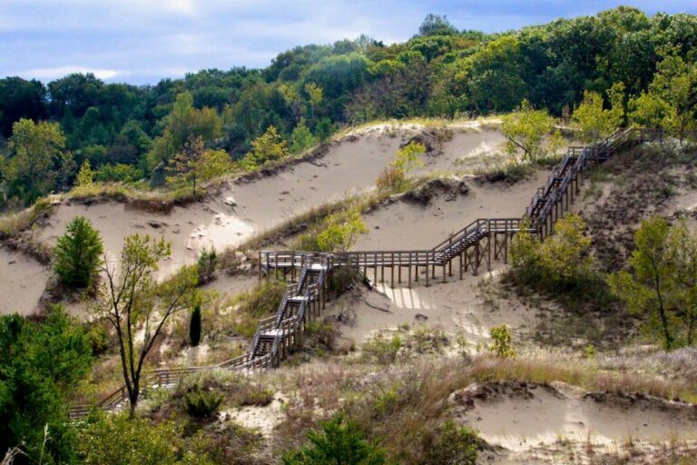 The America’s Living Library Act will facilitate the collection of biological species found in the National Park System which includes the Indiana Dunes National Park. (Photo/Courtesy of  Indiana Dunes Tourism)