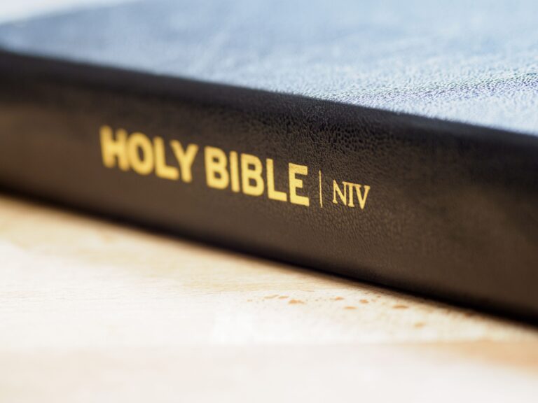 Bluebonnet curriculum, recently adopted in a small school district in Colorado, was developed in Texas and is infused with Biblical lessons. (Photo/Pexels.com)