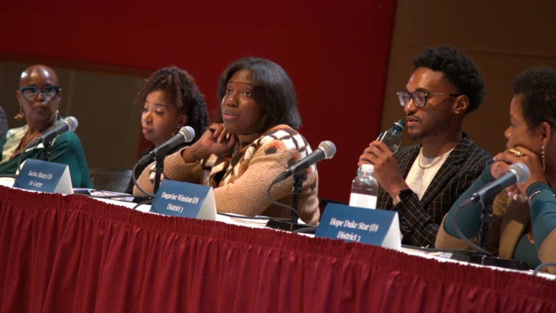 WFYI PUBLIC MEDIA: IPS board candidates meet for public discussion ahead of election